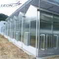 Serre creuse en polycarbonate série Leon pour l&#39;agriculture